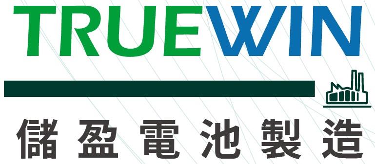 儲盈電池製造(股)公司